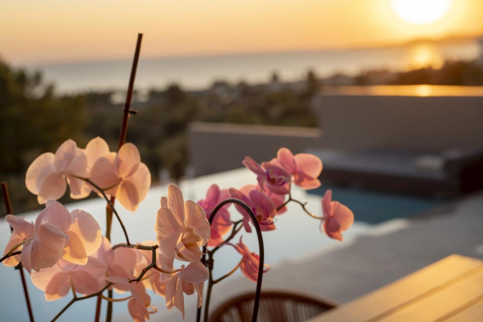 Lithos Villas - Nikiti Halkidiki Ngoại thất bức ảnh